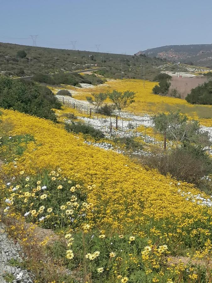 Bokkomblommetjie Lambertʼs Bay Exteriör bild